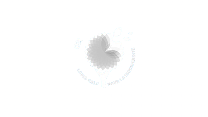 Design_Bornes_ancien_-3-removebg-preview